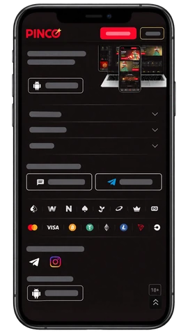 PINCO · Приложение, контакты и информация