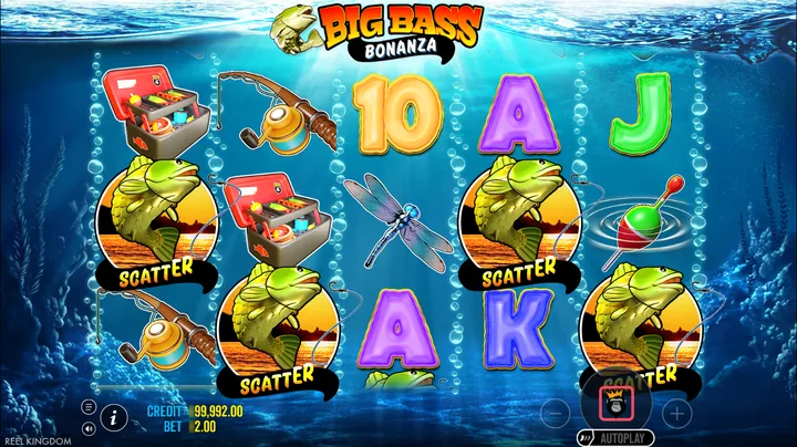 Big Bass Bonanza — Правила бонусной функции