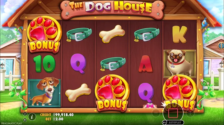 The Dog House — Запуск бонусного раунда
