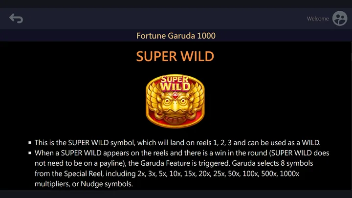 Fortune Garuda 1000 — Super Wild и запуск Garuda Feature