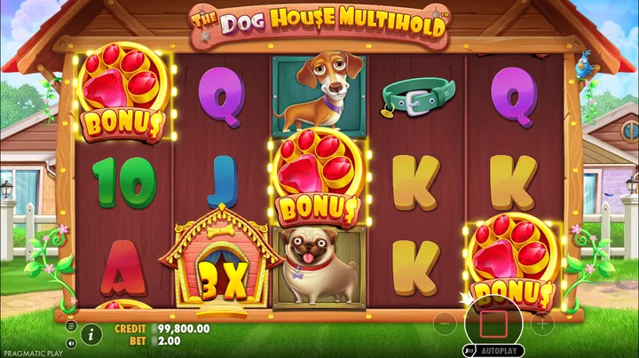 The Dog House Multihold — Запуск бонусного раунда